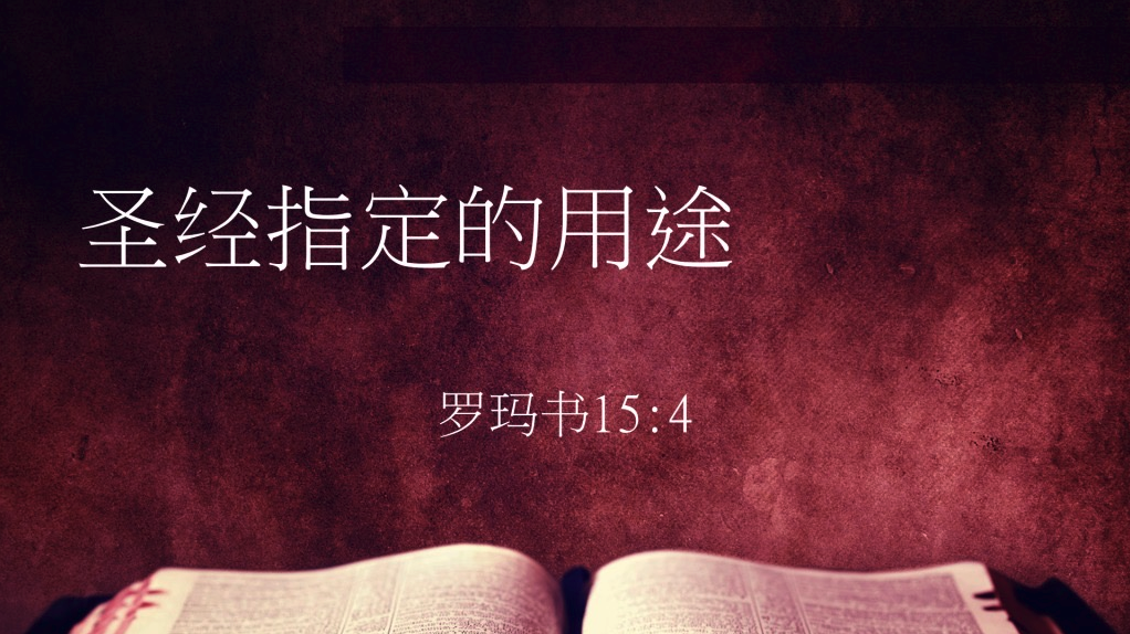 圣经指定的用途