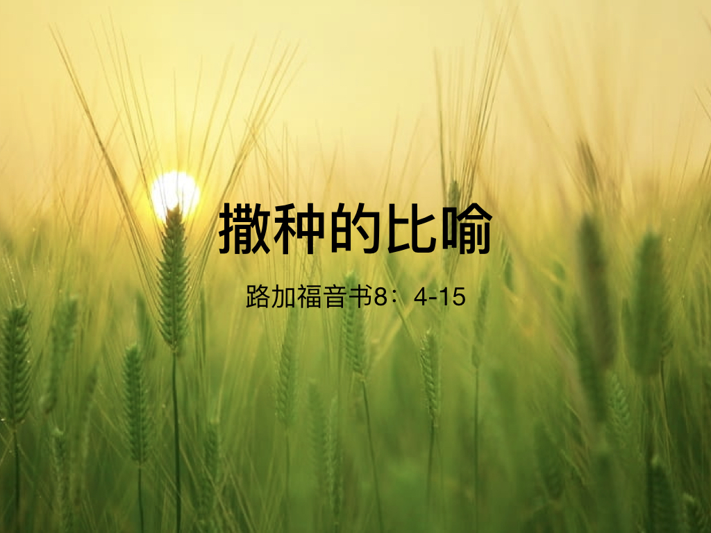 撒种的比喻