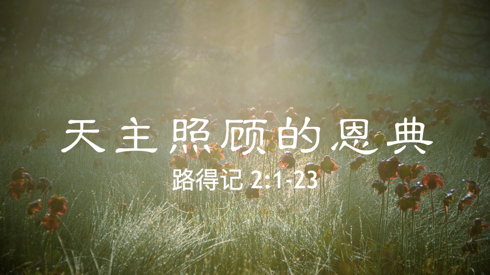 天主照顾的恩典