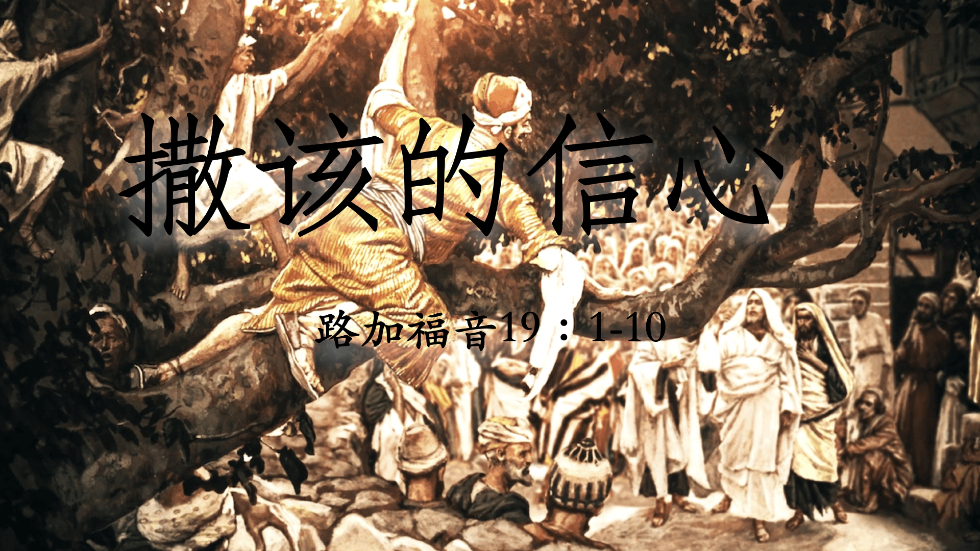 撒该的信心