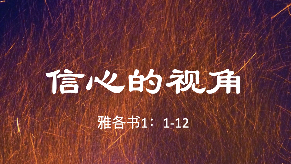信心的视角