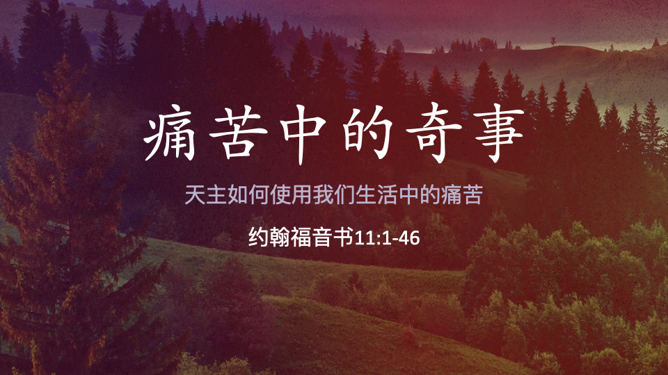 痛苦中的奇事