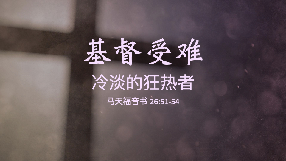冷淡的狂热者