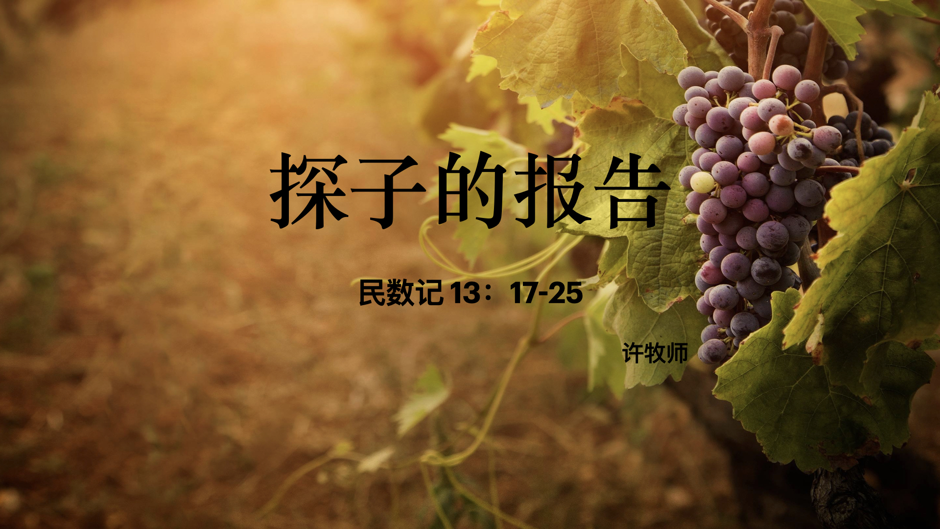 探子的报告