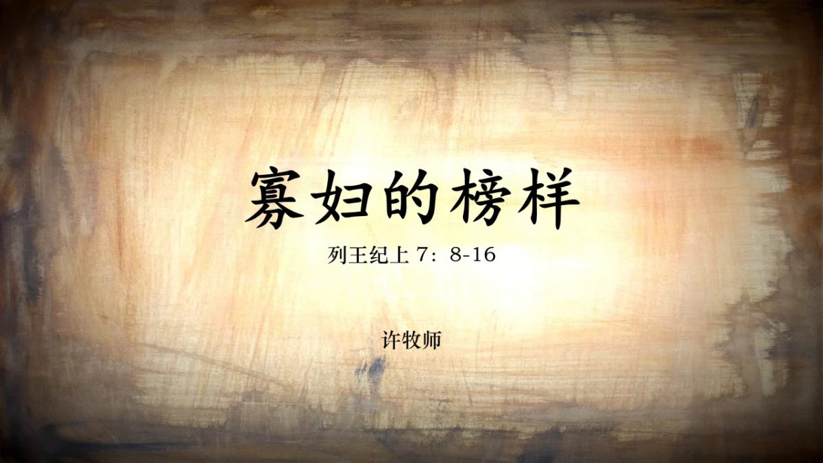 寡妇的榜样