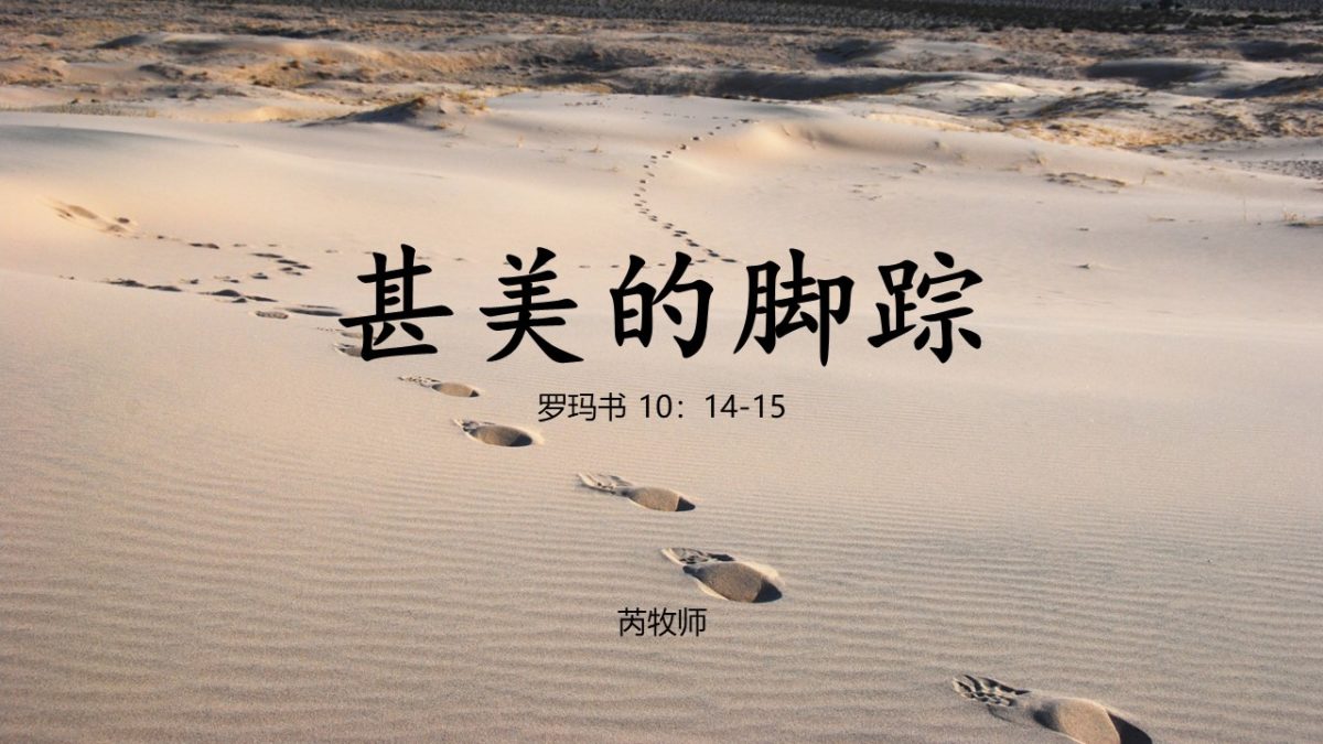 甚美的脚踪