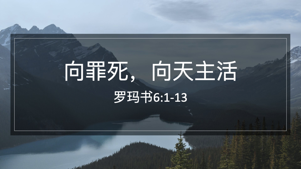 向罪死，向天主活