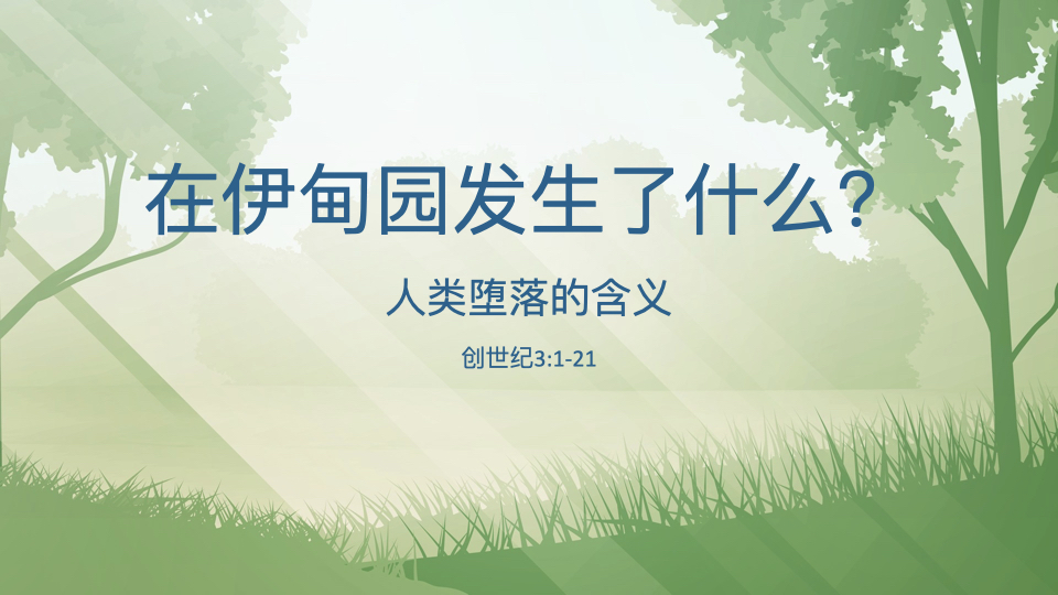 在伊甸园发生了什么