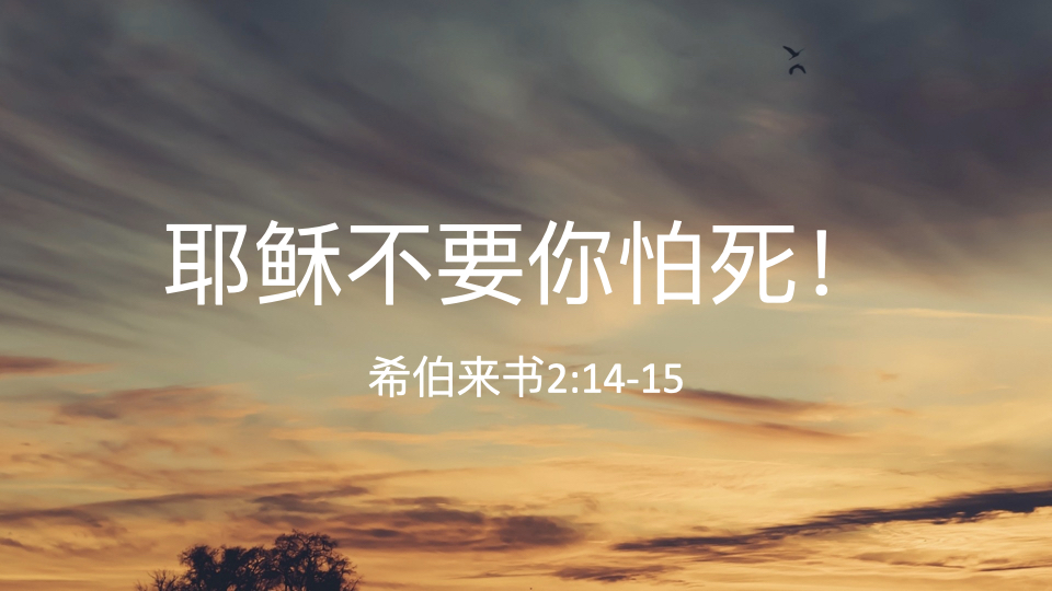 耶稣不要你怕死