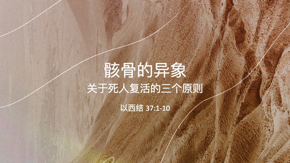 骸骨的异象